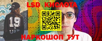 молекула духа Можга