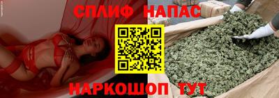 хмурый Моздок
