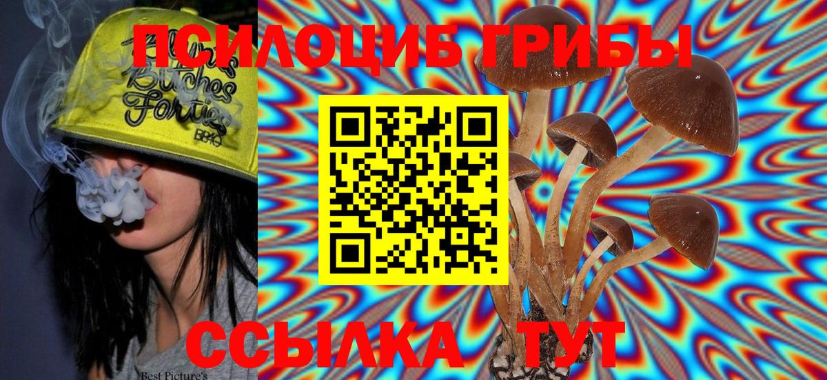 Псилоцибиновые грибы Magic Shrooms  Вход с VPN  Учалы  Галлюциногенные грибы Psilocybe 