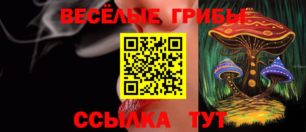 Псилоцибиновые грибы мицелий Учалы